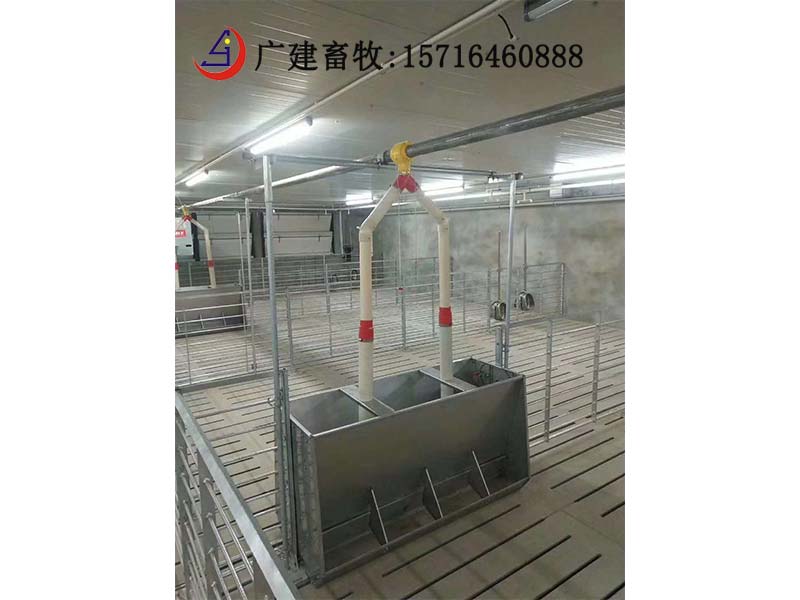 Stainless steel trough for pig